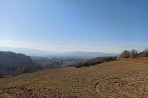 Casolare con terreno