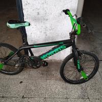 BMX MORRIS