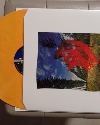 PINK FLOYD "Wish...vinile giallo"