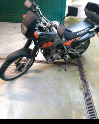 honda dominator 