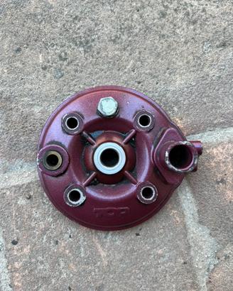 Testata Top 2 plus AM6