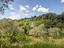 Immagine 9