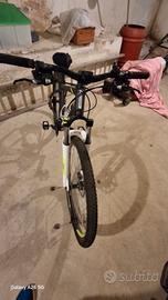 Mountain bike