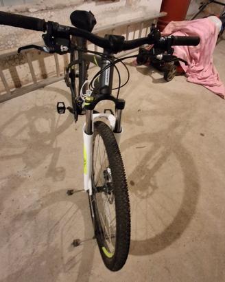 Mountain bike