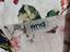 Immagine 5