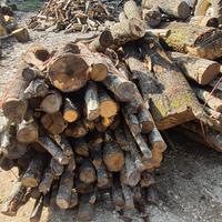 Legna di quercia e cerro