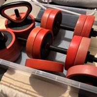 Set di pesi componibili