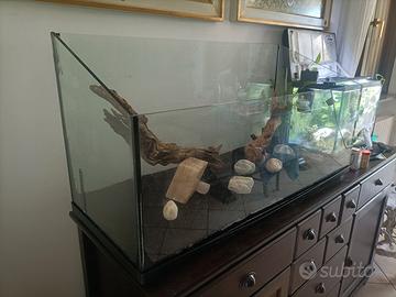 Acquario,tartarughiera