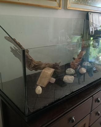 Acquario,tartarughiera
