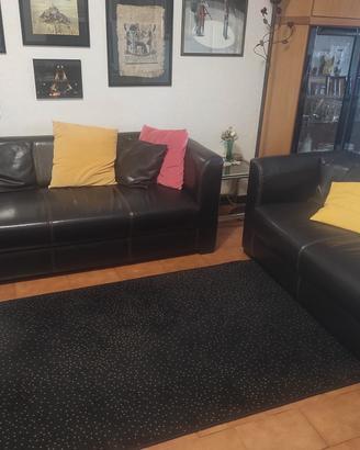 Due divani eleganti