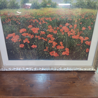 Quadro Franco Azzinari "I Papaveri"