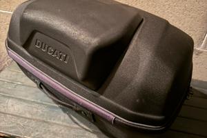 Set borse ducati + cupolini