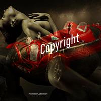 quadro moderno stampa su PLEXIGLASS  ALFA JOAN 80