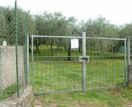 Albano Laziale Terreno Agricolo con magazzino