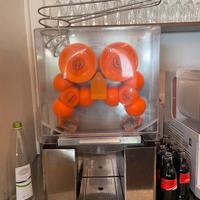 Spremiagrumi professionale Vevor