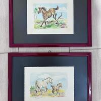 acquerelli  tema soggetto  cavalli