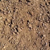 Terra per orto fiori alberi