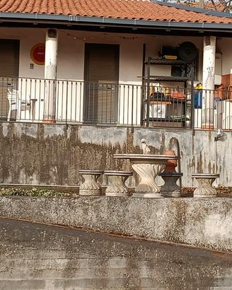 Toeletta pensione ed associazione per cani