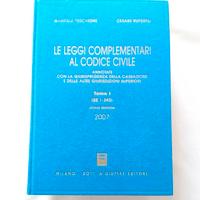Le  leggi  complementari al Codice Civile Tomo 1