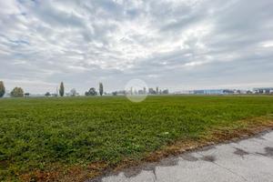 TERRENO A CASTEL GOFFREDO