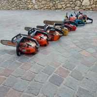 Motoseghe 30cc 1980-2005