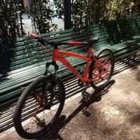Wheelie bike