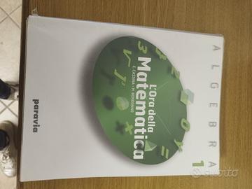 libro l' ora della matematica 