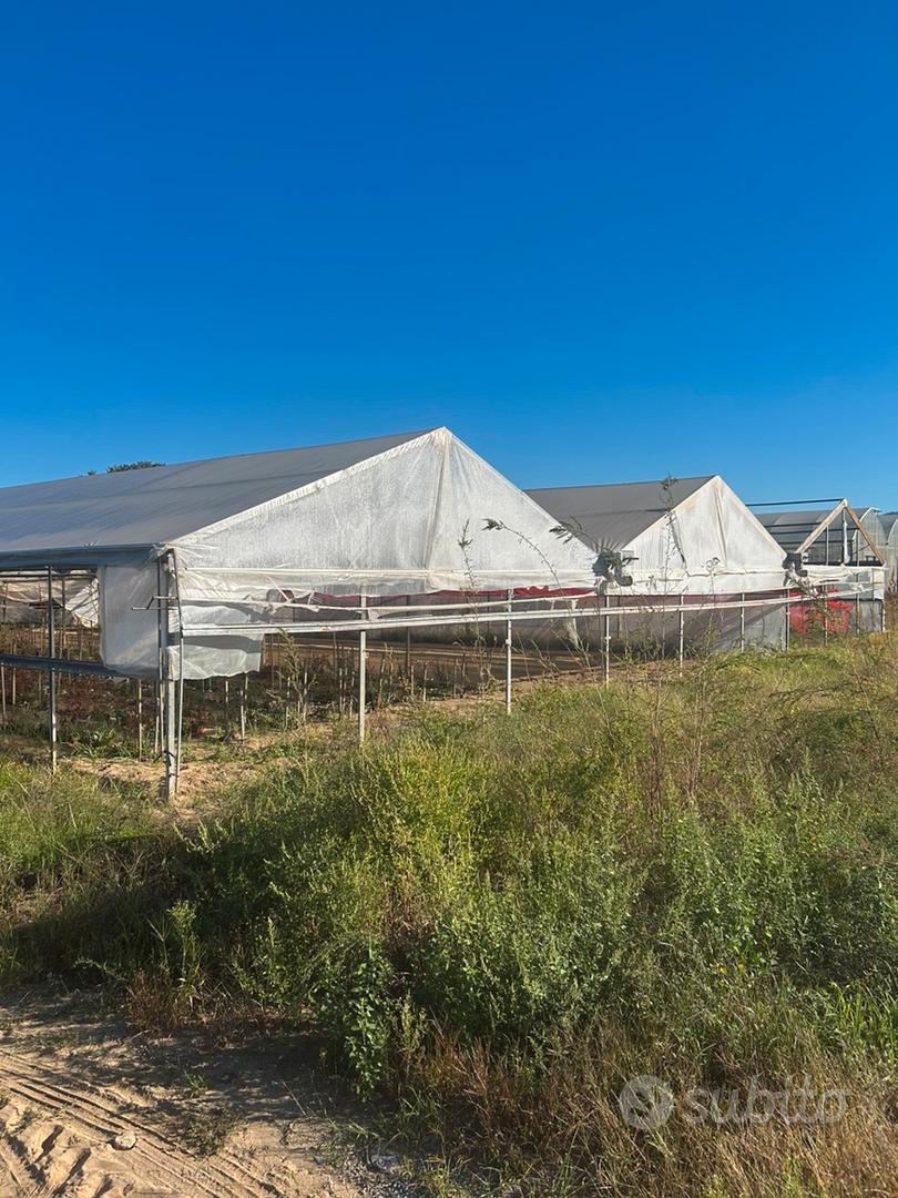 Terreno agricolo - Vista 5