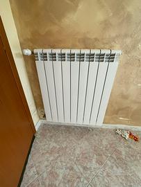 Radiatori in alluminio