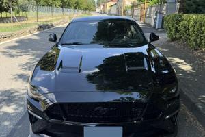 Mustang gt 2019