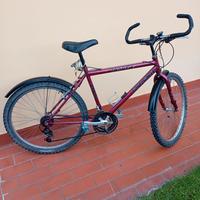 Mountain bike