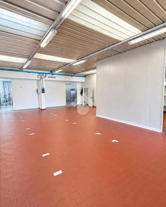 LABORATORIO A CITTADELLA