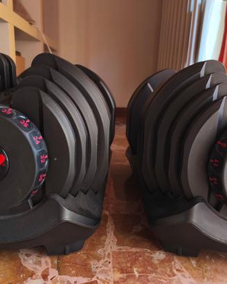 Bowflex SelectTech 1090i 41kg