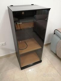 Mobile HI-FI Piooner