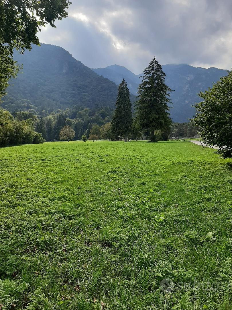 TERRENO AGRICOLO - Vista 2