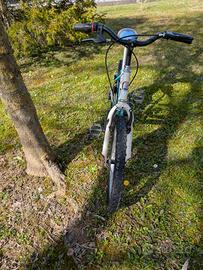 bici bambino /ragazzo 