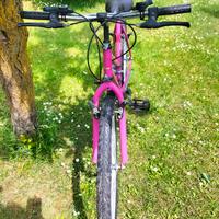 MTB ruota 26
