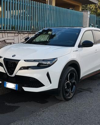 Alfa Romeo Junior Speciale 