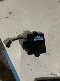 Centralina polini euro5