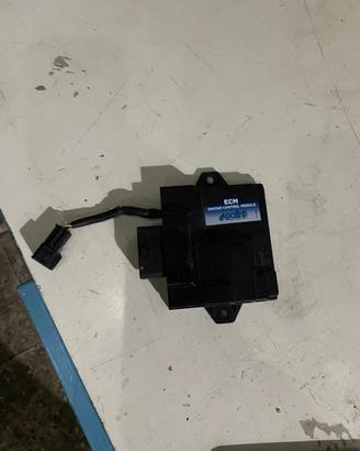 Centralina polini euro5