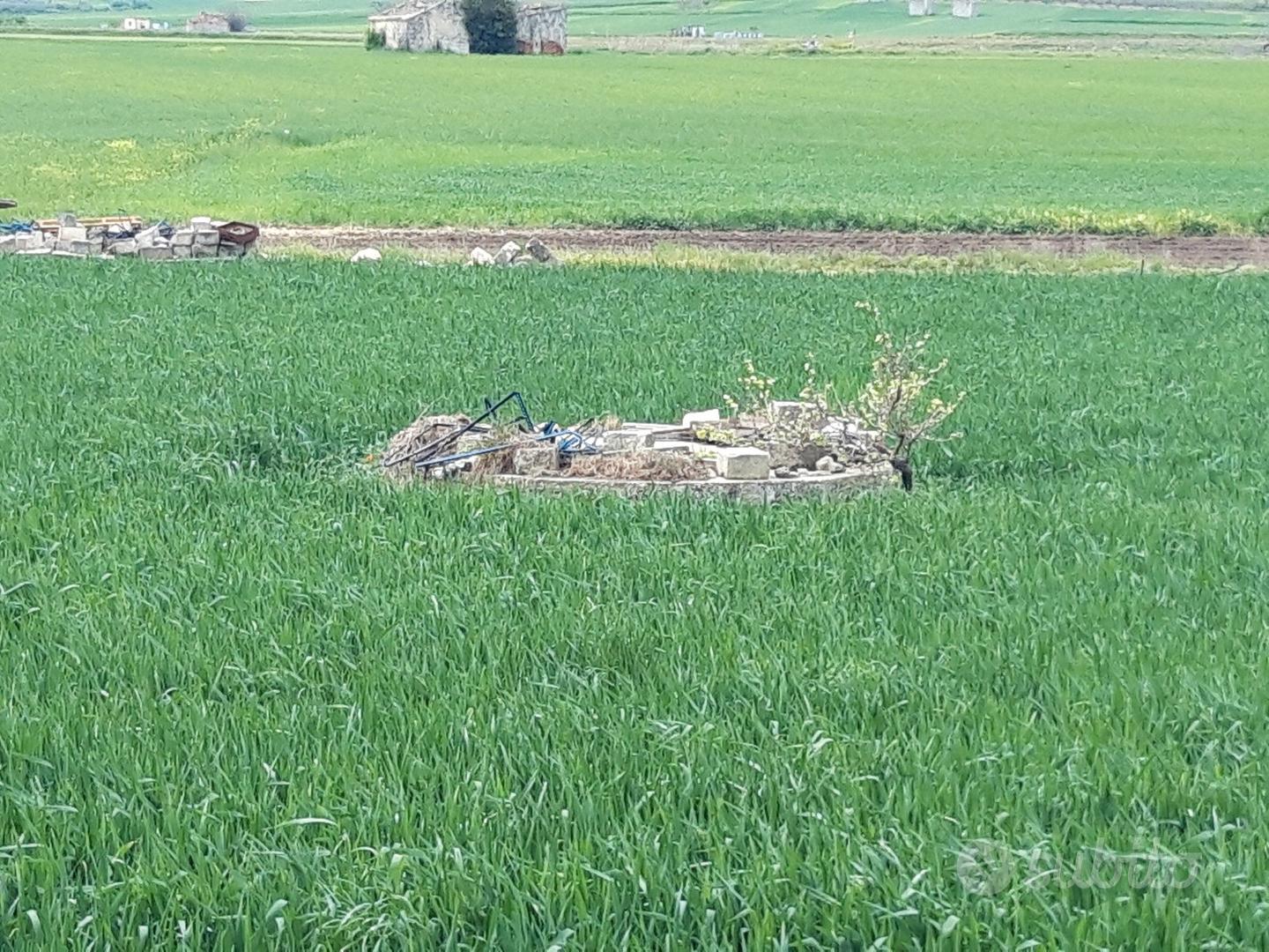 Terreno agricolo - Vista 3
