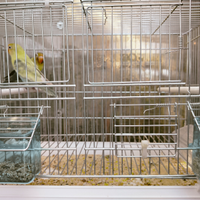 Inseparabili Fischer