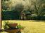 Immagine 25