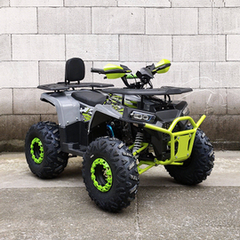 Quad 125cc 2025 4 tempi