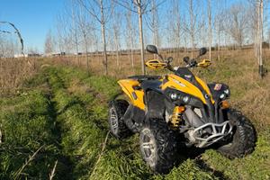 Can am renegade 800r