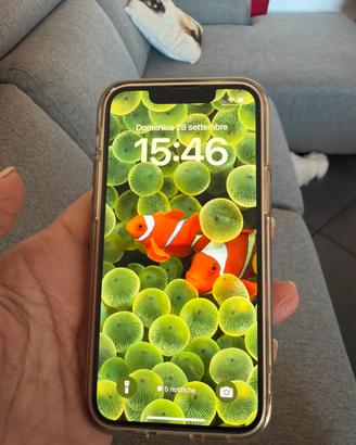 Iphone13 mini