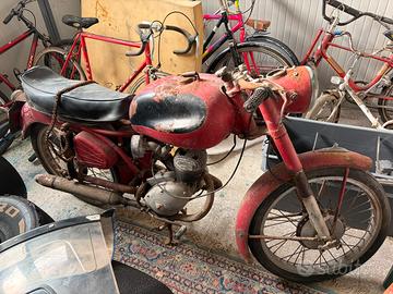Benelli leoncino