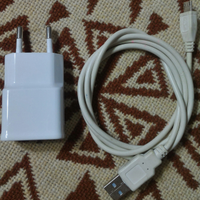 Alimentatore Samsung + Cavo USB (Bianco)