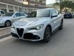 Alfa Romeo Stelvio 2.2 Turbodiesel 210 CV AT8 Q4 V