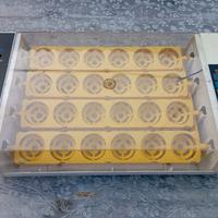 incubatrice 